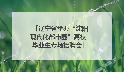 辽宁省举办“沈阳现代化都市圈”高校毕业生专场招聘会
