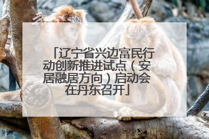 辽宁省兴边富民行动创新推进试点（安居融居方向）启动会在丹东召开