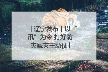辽宁发布｜以“汛”为令 打好防灾减灾主动仗