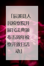 辰溪县人民检察院开展民法典颁布五周年检察开放日活动