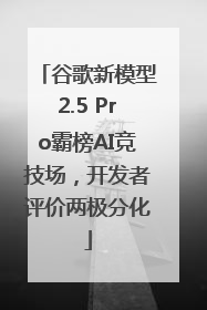 谷歌新模型2.5 Pro霸榜AI竞技场，开发者评价两极分化
