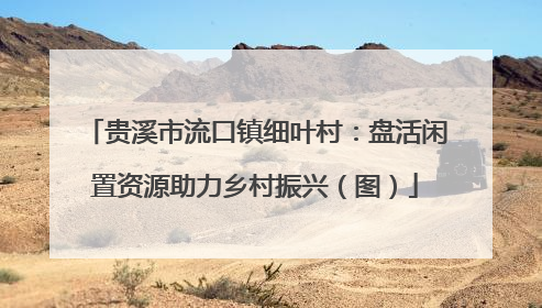 贵溪市流口镇细叶村：盘活闲置资源助力乡村振兴（图）
