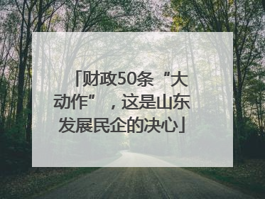 财政50条“大动作”，这是山东发展民企的决心