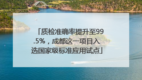 质检准确率提升至99.5%，成都这一项目入选国家级标准应用试点