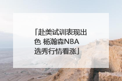 赴美试训表现出色 杨瀚森NBA选秀行情看涨