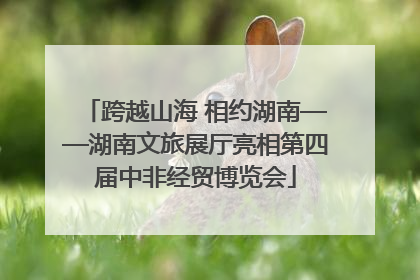 跨越山海 相约湖南——湖南文旅展厅亮相第四届中非经贸博览会