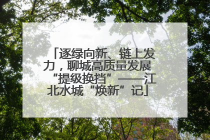 逐绿向新、链上发力，聊城高质量发展“提级换挡”——江北水城“焕新”记