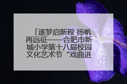 逐梦启新程 扬帆再远征——合肥市新城小学第十八届校园文化艺术节“戏曲进校园专场演出”