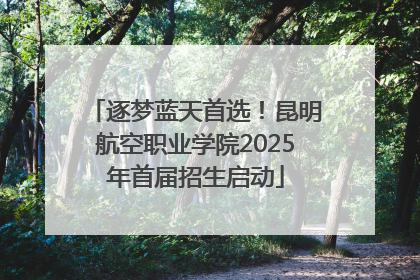 逐梦蓝天首选！昆明航空职业学院2025年首届招生启动