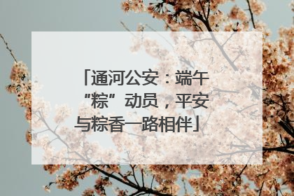 通河公安：端午“粽”动员，平安与粽香一路相伴