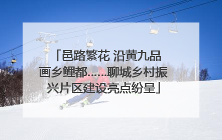 邑路繁花 沿黄九品 画乡鲤都……聊城乡村振兴片区建设亮点纷呈