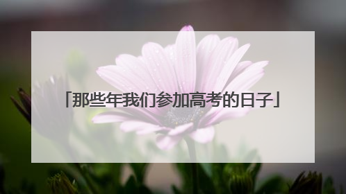 那些年我们参加高考的日子