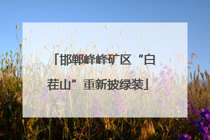邯郸峰峰矿区“白茬山”重新披绿装