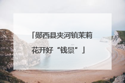 郧西县夹河镇茉莉花开好“钱景”
