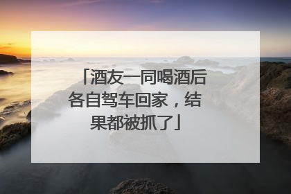 酒友一同喝酒后各自驾车回家，结果都被抓了