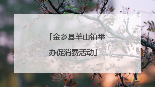 金乡县羊山镇举办促消费活动