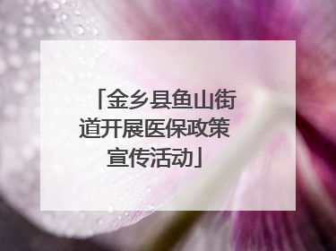 金乡县鱼山街道开展医保政策宣传活动