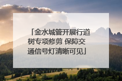 金水城管开展行道树专项修剪 保障交通信号灯清晰可见