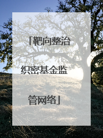 靶向整治织密基金监管网络