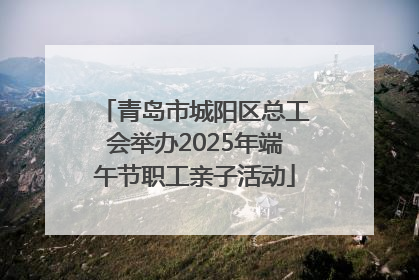 青岛市城阳区总工会举办2025年端午节职工亲子活动