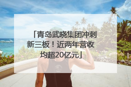 青岛武晓集团冲刺新三板！近两年营收均超20亿元