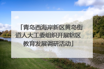 青岛西海岸新区黄岛街道人大工委组织开展辖区教育发展调研活动