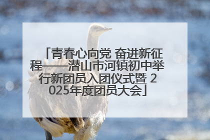 青春心向党 奋进新征程——潜山市河镇初中举行新团员入团仪式暨 2025年度团员大会