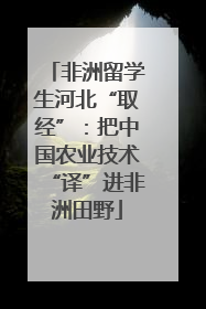 非洲留学生河北“取经”：把中国农业技术“译”进非洲田野