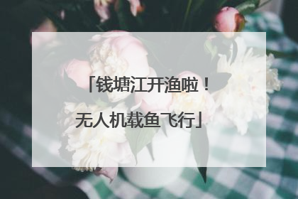 钱塘江开渔啦！无人机载鱼飞行