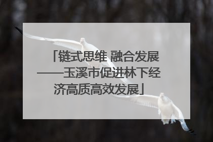 链式思维 融合发展——玉溪市促进林下经济高质高效发展