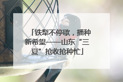 铁犁不停歇，播种新希望——山东“三夏”抢收抢种忙