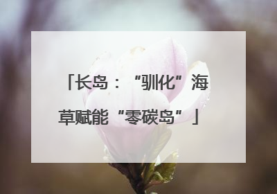 长岛：“驯化”海草赋能“零碳岛”