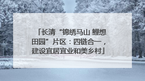 长清“锦绣马山 鲤想田园”片区：四链合一，建设宜居宜业和美乡村