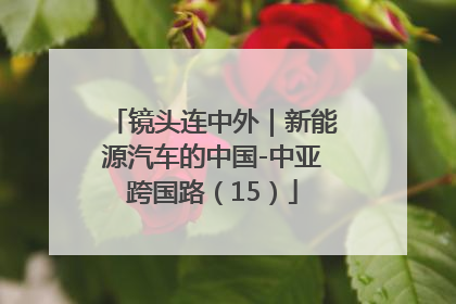镜头连中外｜新能源汽车的中国-中亚跨国路（15）