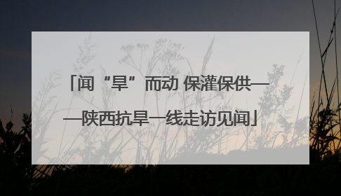 闻“旱”而动 保灌保供——陕西抗旱一线走访见闻