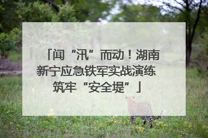 闻“汛”而动！湖南新宁应急铁军实战演练筑牢“安全堤”