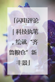 闪电评论｜科技执笔，绘就“齐鲁粮仓”新丰景