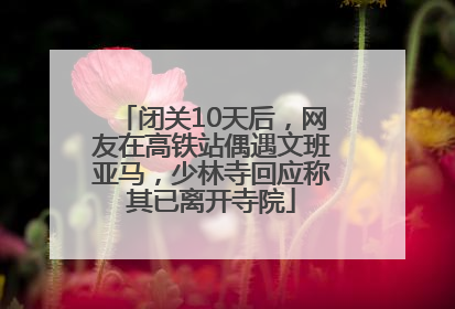 闭关10天后，网友在高铁站偶遇文班亚马，少林寺回应称其已离开寺院