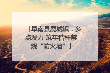 阜南县鹿城镇：多点发力 筑牢秸秆禁烧“防火墙”