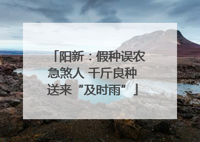 阳新：假种误农急煞人 千斤良种送来“及时雨”