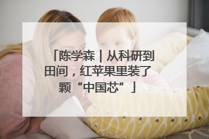 陈学森｜从科研到田间，红苹果里装了颗“中国芯”