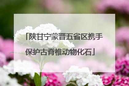 陕甘宁蒙晋五省区携手保护古脊椎动物化石