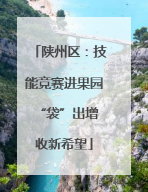 陕州区：技能竞赛进果园 “袋”出增收新希望