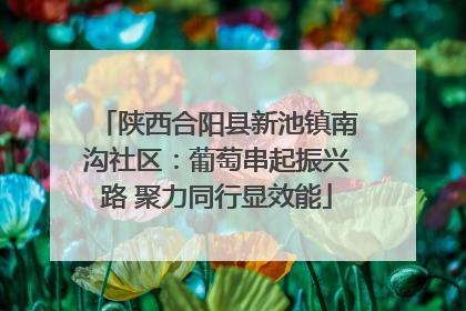 陕西合阳县新池镇南沟社区：葡萄串起振兴路 聚力同行显效能