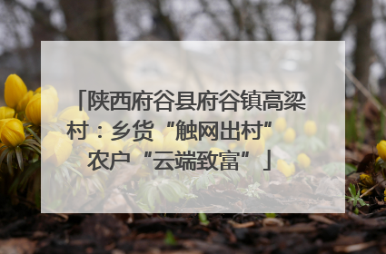 陕西府谷县府谷镇高梁村：乡货“触网出村” 农户“云端致富”