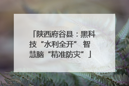 陕西府谷县：黑科技“水利全开” 智慧脑“精准防灾”