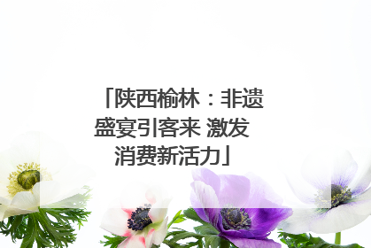 陕西榆林：非遗盛宴引客来 激发消费新活力