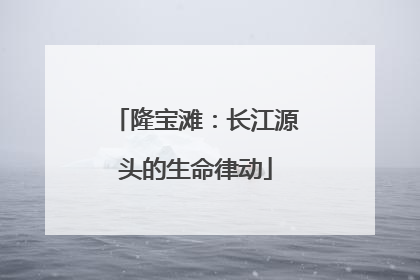 隆宝滩：长江源头的生命律动