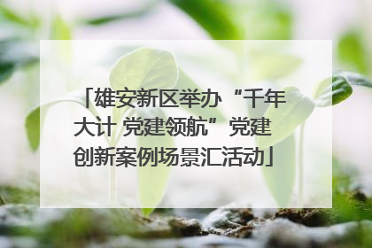 雄安新区举办“千年大计 党建领航”党建创新案例场景汇活动