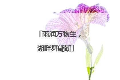 雨润万物生，湖畔舞翩跹